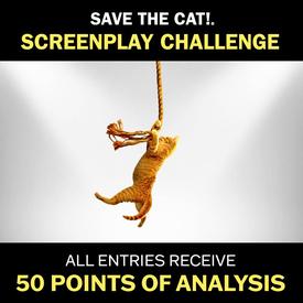 Save the Cat! Screenplay Challenge